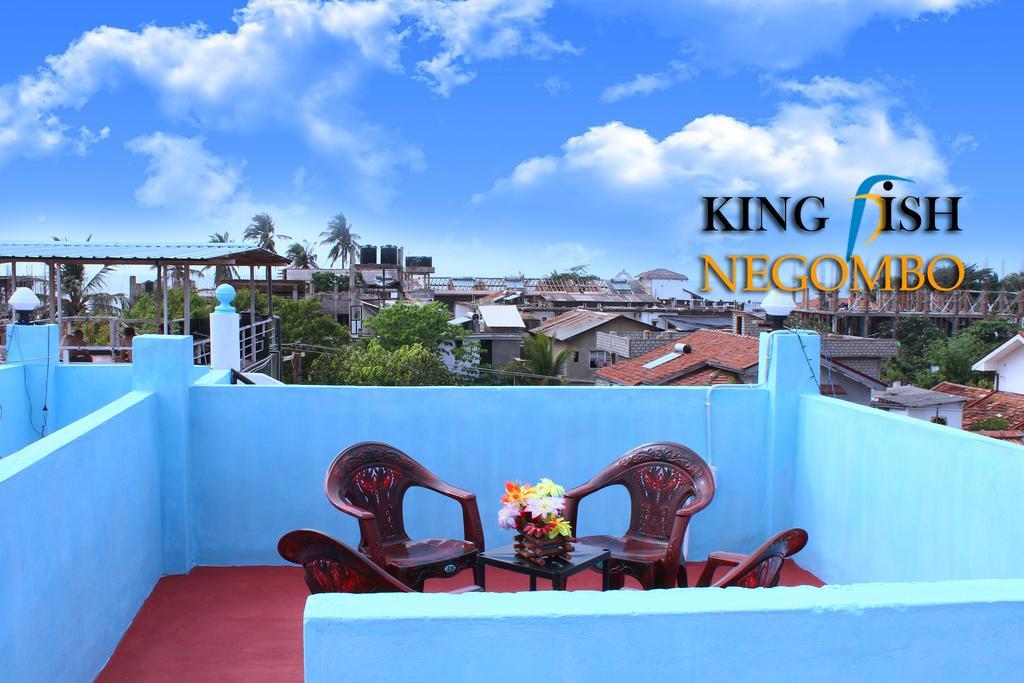 King Fish Guest House نيجومبو المظهر الخارجي الصورة